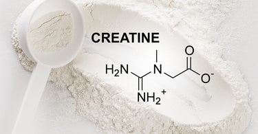 Should You Take Creatine When Losing Weight?